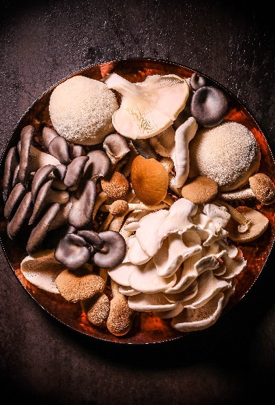 Exotic Mushrooms