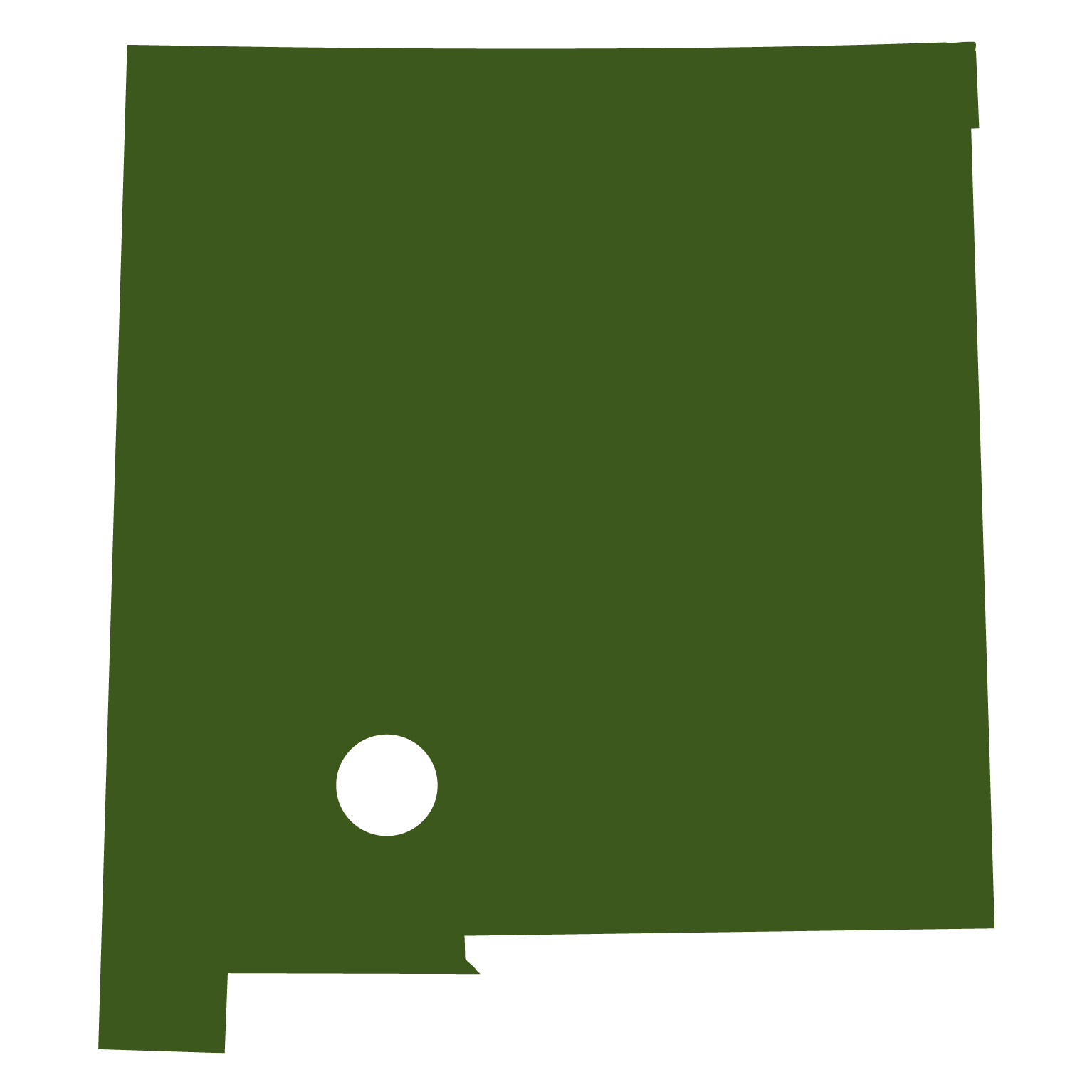 New Mexico