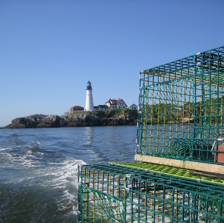 Lobstermania event